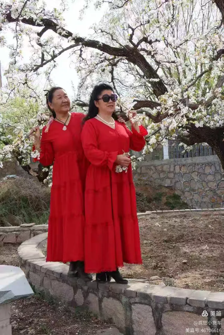 2025年4月7日正明山梨花